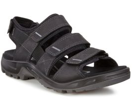 822134-01001-main-nfh