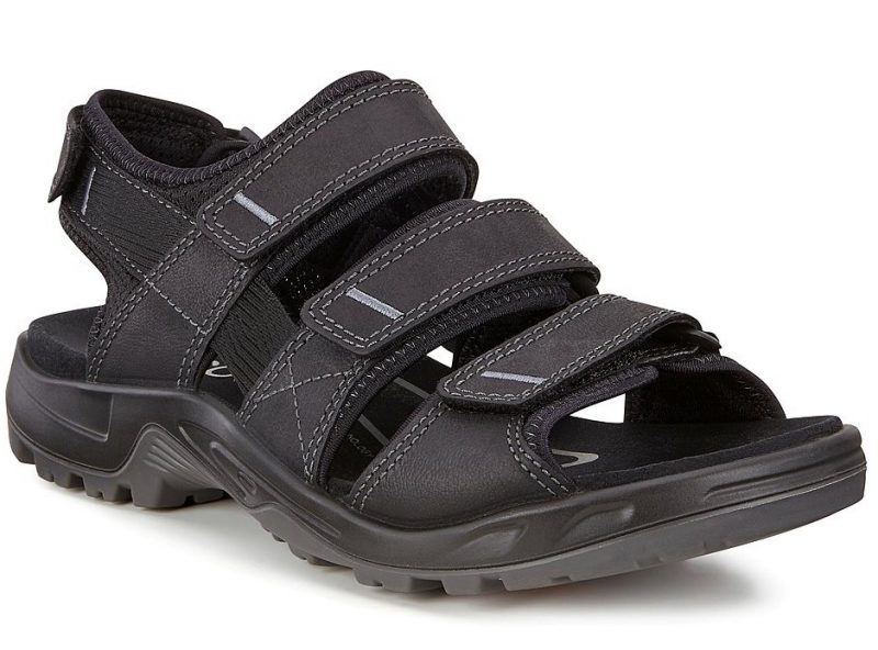 822134-01001-main-nfh