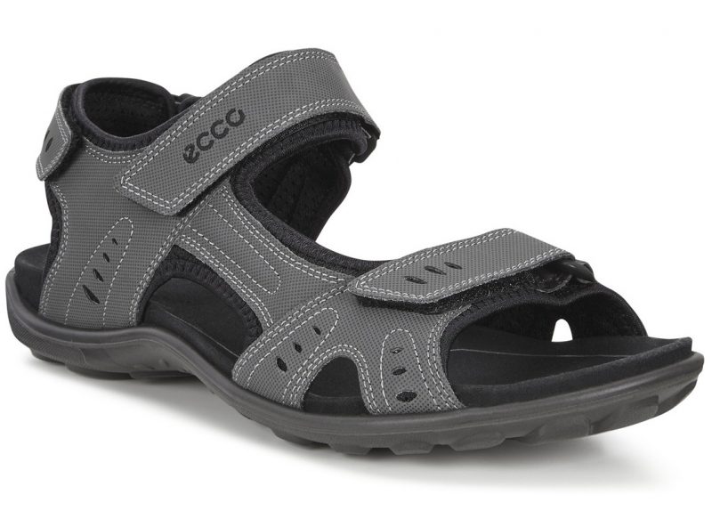 822314_00602 822314_00602