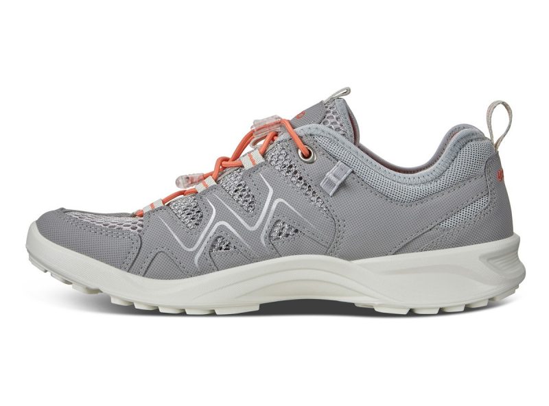 825773_59105_2 825773_59105_2