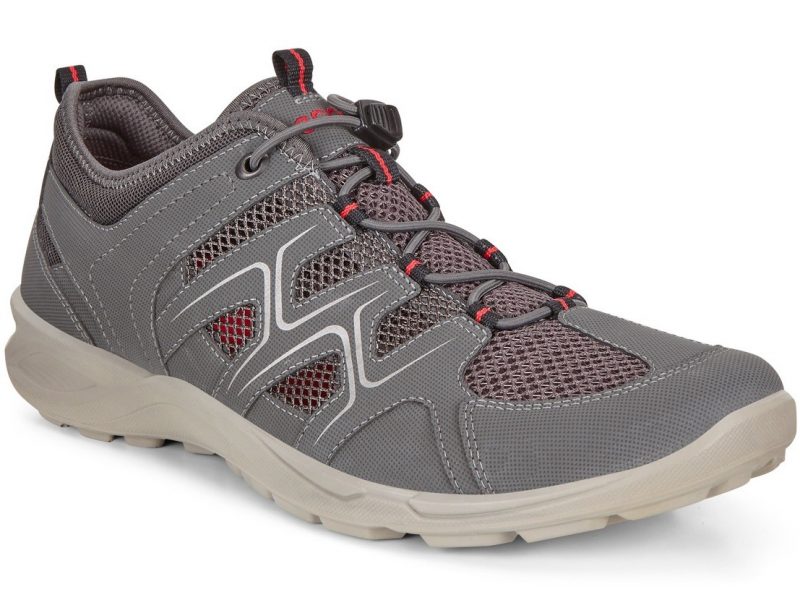 825774_56586 825774_56586