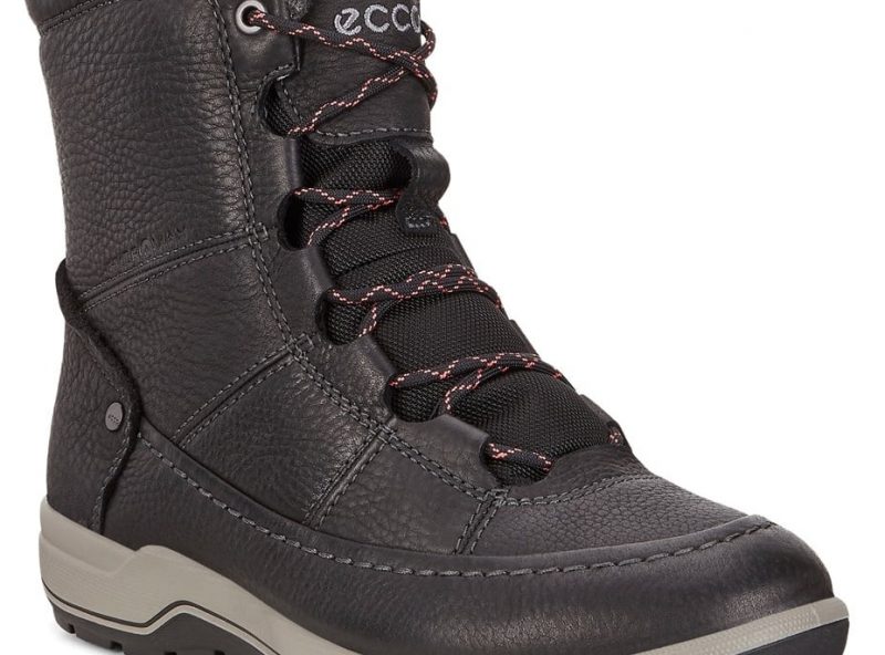 832153-02001-main-nfh