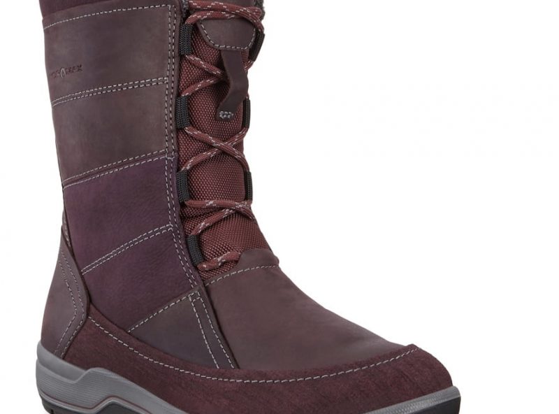 832163_51504 832163_51504