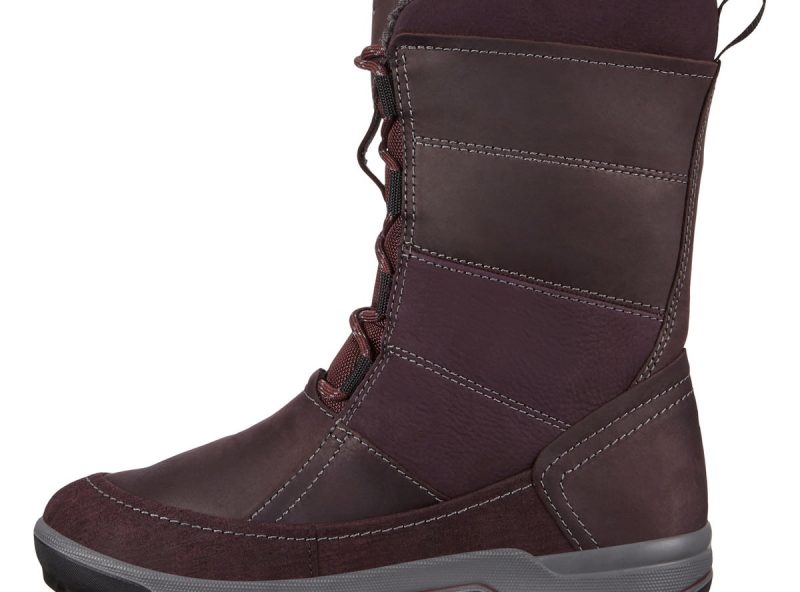 832163_51504_2 832163_51504_2