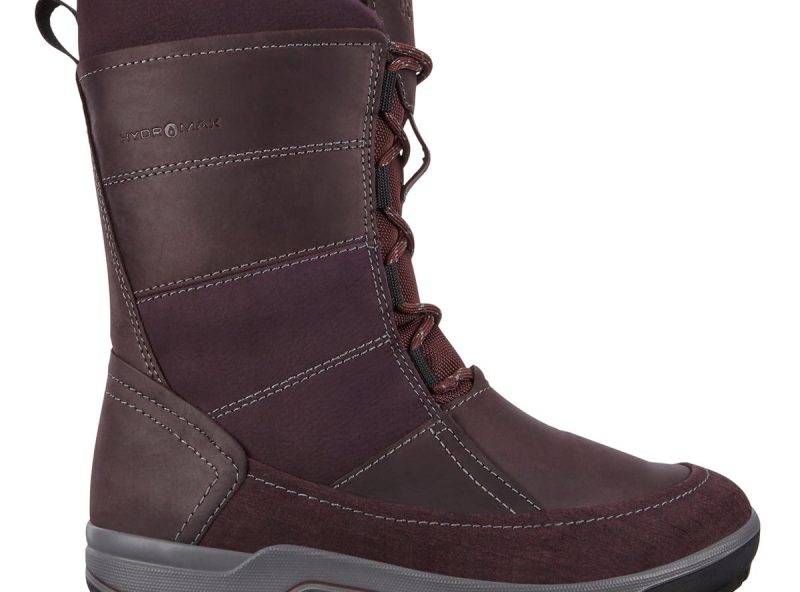 832163_51504_3 832163_51504_3