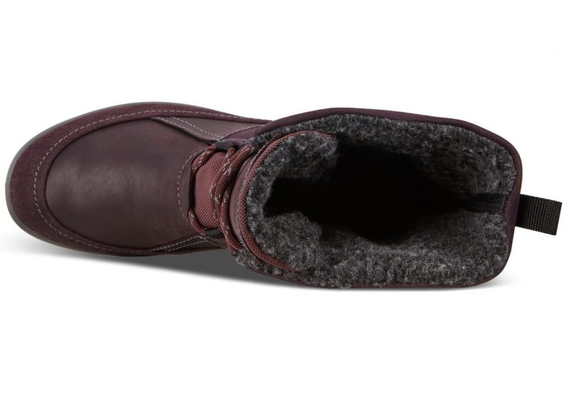 832163_51504_6 832163_51504_6