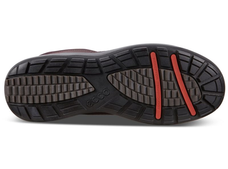 832163_51504_7 832163_51504_7