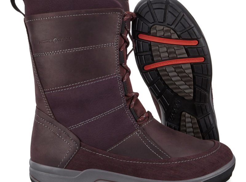 832163_51504_8 832163_51504_8