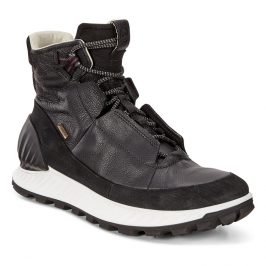 832324_51052_main_nfh