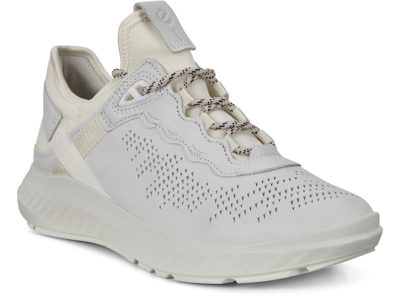 837313_50874 837313_50874