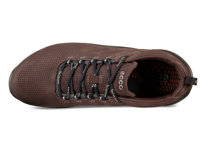 837534_01178_6 837534_01178_6