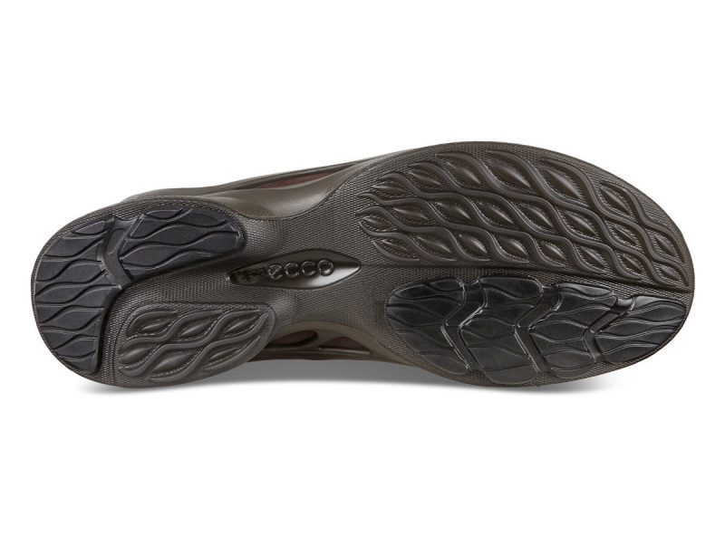 837534_01178_7 837534_01178_7