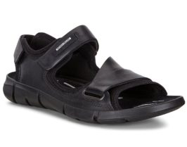 842054-51052-main-nfh