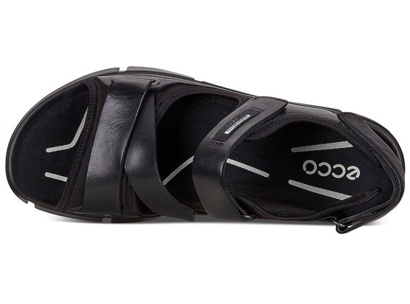 842054-51052-top 842054-51052-top