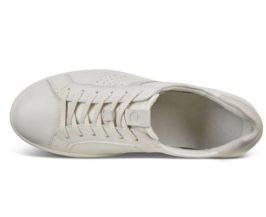 leisure-205093-52292-7